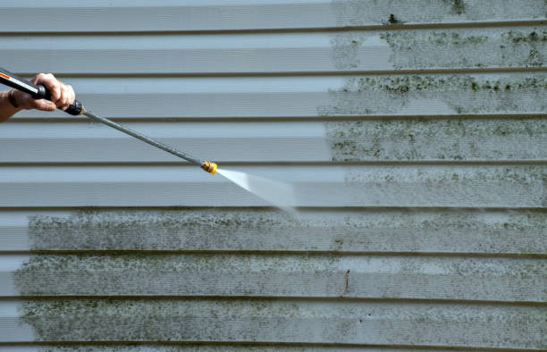 Best Affordable Power Washing  in Lake Station, IN